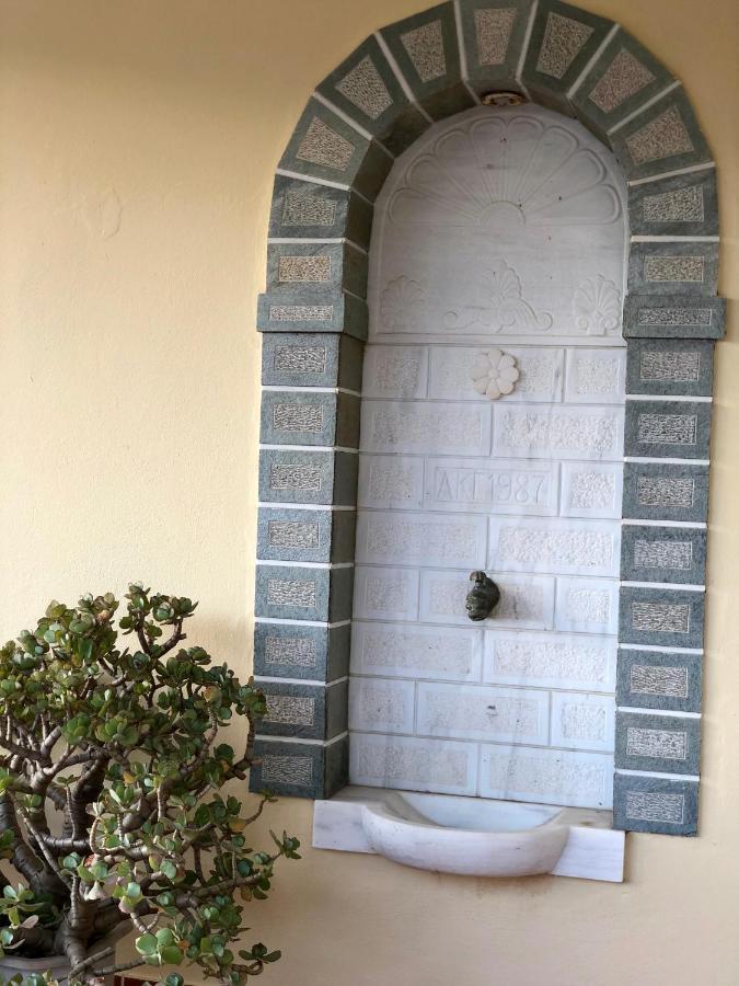 Villa Andros Epoque Livádhia Exterior foto